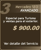 Mercadeo Web en Costa Rica, Plan Avanzado